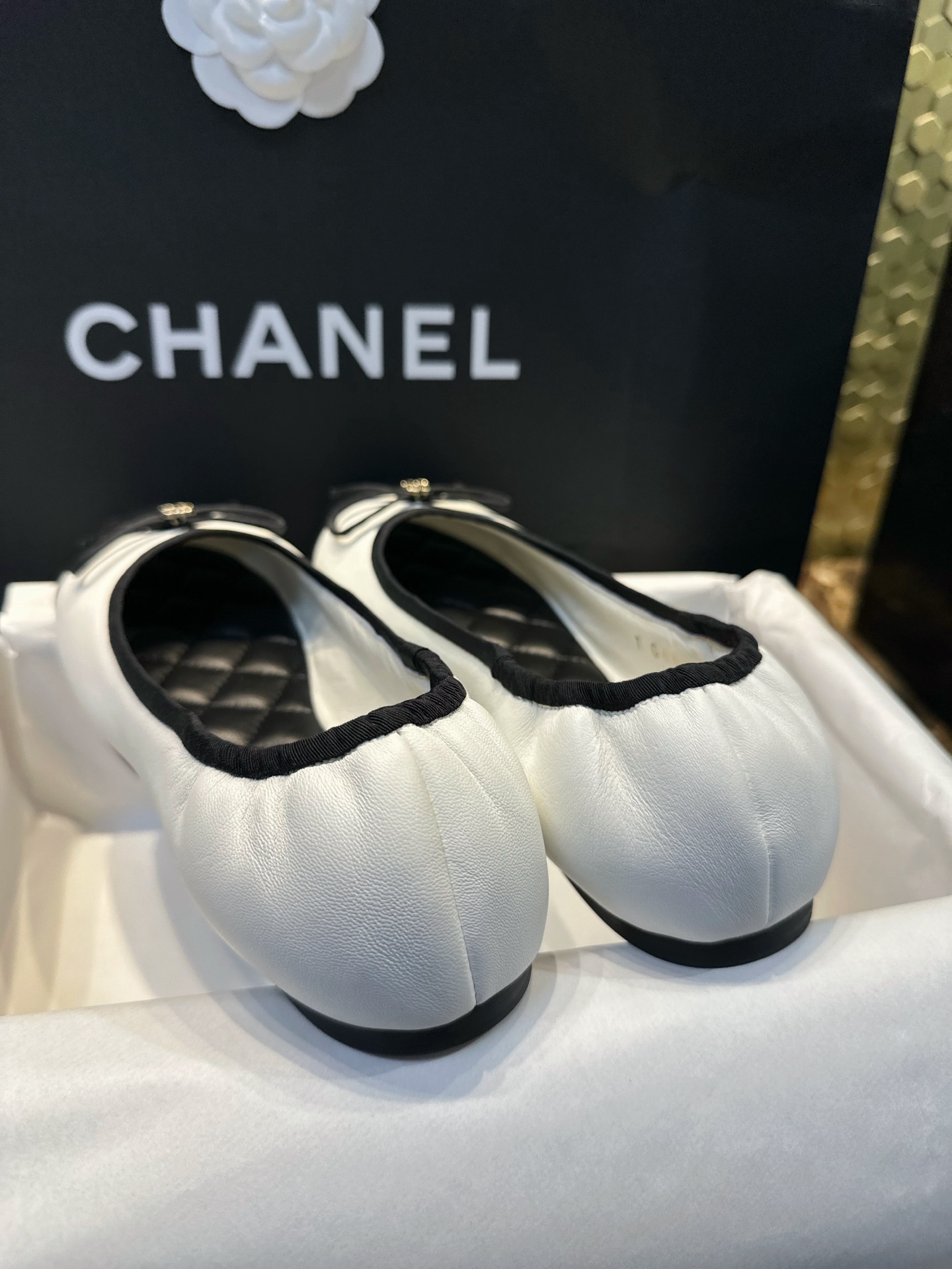 339863d49e64382fa907207bd7a6033e_1763123462_0068.jpg 339863d49e64382fa907207bd7a6033e_1763123462_0068.jpg