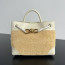 BOTTEGA VENETA 스몰 안디아모 (827478)