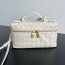 BOTTEGA VENETA 뱅뱅 베니티 케이스 (789109)
